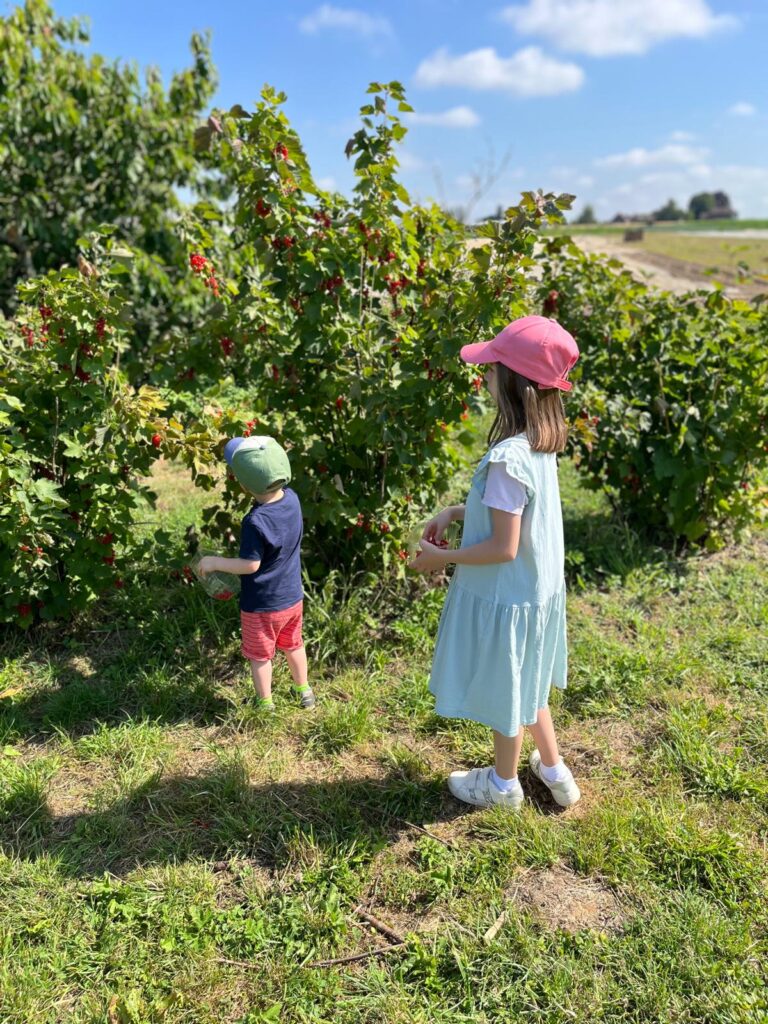naturopathie enfant allergie renforcer son terrain