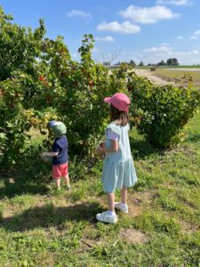 alimentation ancestrale